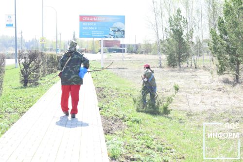 Совет ветеранов Камских Полян приняли участие в экологическом среднике