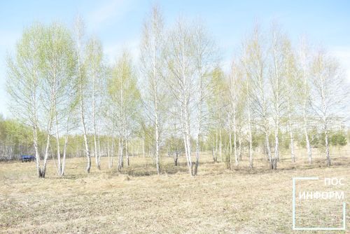 Совет ветеранов Камских Полян приняли участие в экологическом среднике