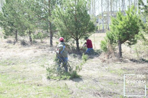 Совет ветеранов Камских Полян приняли участие в экологическом среднике