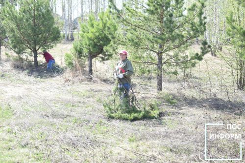 Совет ветеранов Камских Полян приняли участие в экологическом среднике