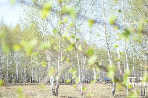 Народные приметы на 22 апреля: что нельзя делать в день Вадима Ключника