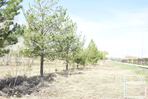 Творчество жительницы Камских Полян Светланы Бадретдиновой