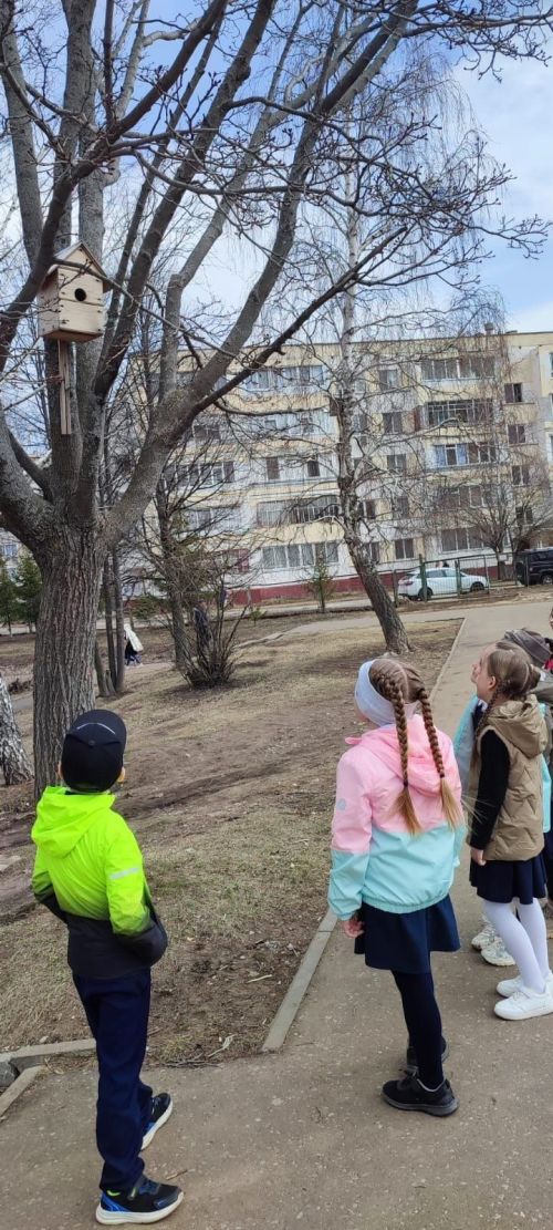 «ЭкоВесна 2025» : ученики Камскополянской школы №2 помогают пернатым
