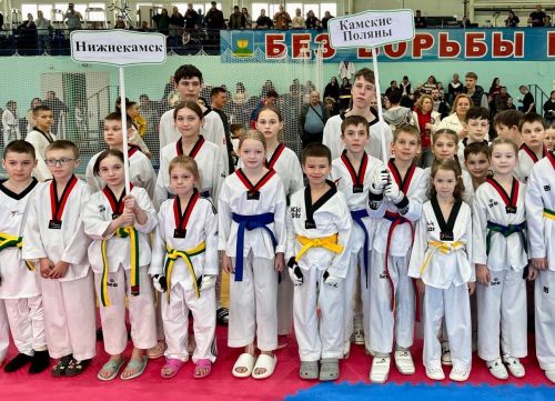 Спортсмены Камских Полян отличились на «Вызове Сильнейших» по тхэквондо