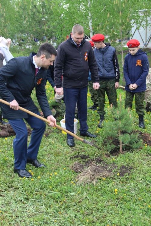 «Аллея Памяти»: В Парке Победы высадили деревья в честь героев