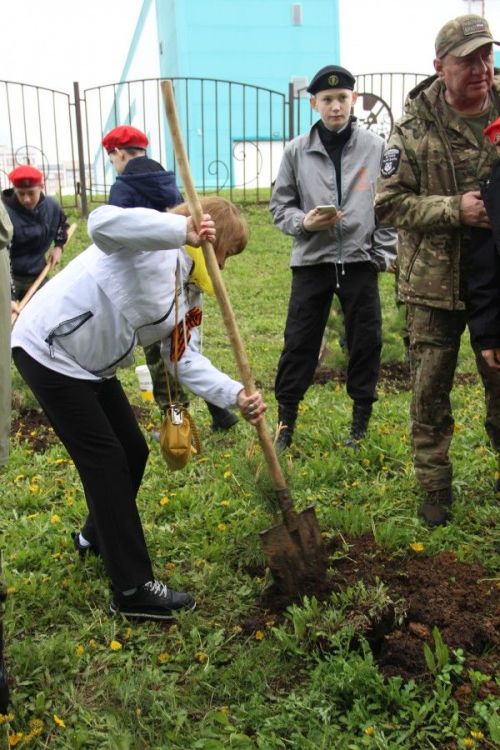«Аллея Памяти»: В Парке Победы высадили деревья в честь героев