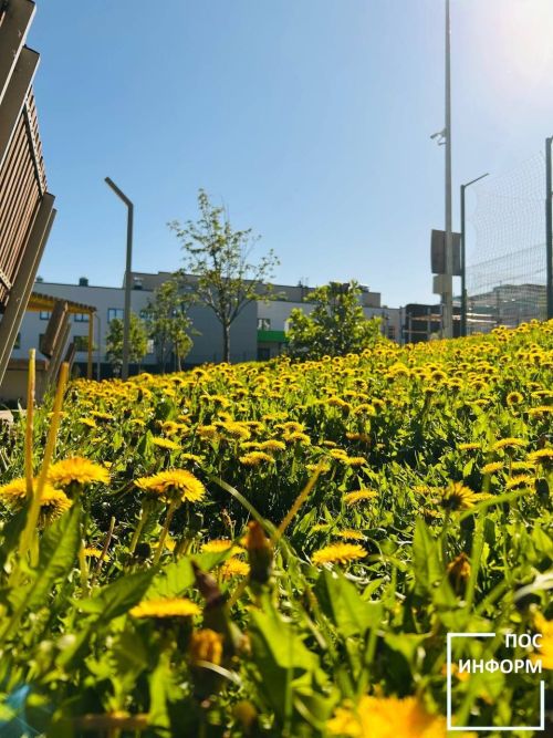 Погода в Татарстане: к концу недели потеплеет до +24°C