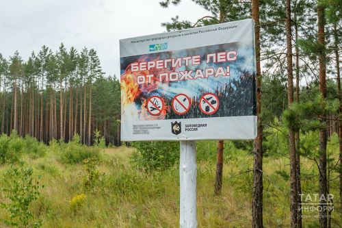 Минлесхоз РТ назвал районы, где отмечается наибольшее число возгораний возле леса