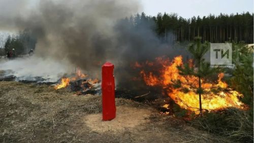 Высокий риск лесных пожаров в Татарстане: с 29 мая по 2 июня введён режим ЧС