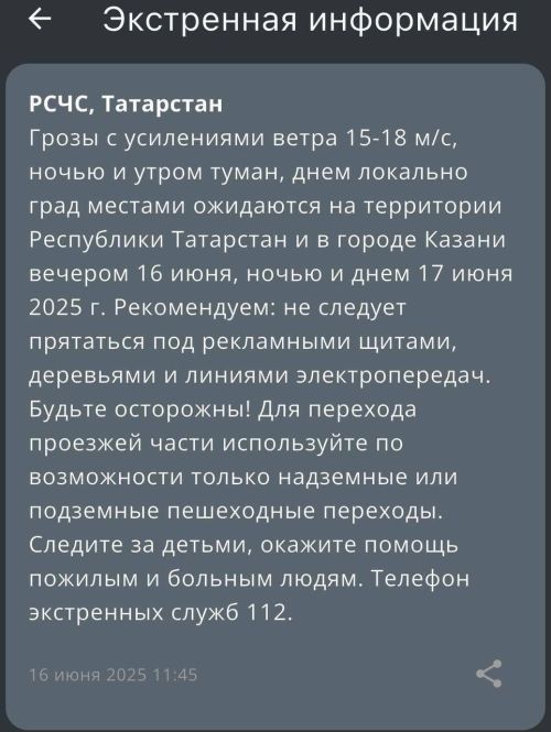 Жителей Татарстана предупредили о грозе и сильном ветре