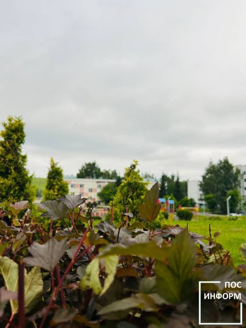 Летнее тепло вернется в Татарстан только в конце июня