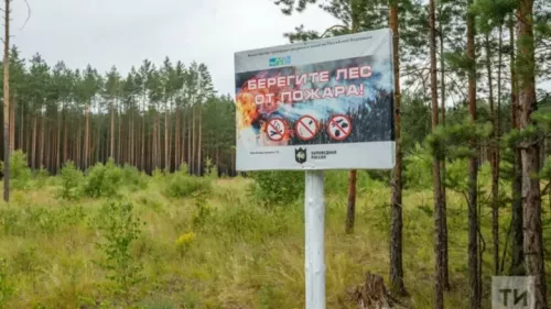 В Татарстане создали 2,4 тыс. км минерализованных полос для защиты лесов от пожаров