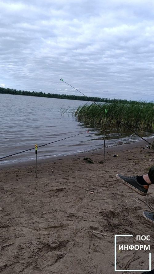 Всемирный день рыболовства 27 июня: традиции, интересные факты и лучшие рыбные блюда