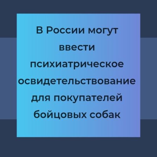 В России могут ввести психиатрическое освидетельствование для покупателей бойцовых собак