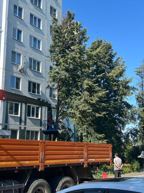 В Камских Полянах провели работы по спилу сухих веток и деревьев