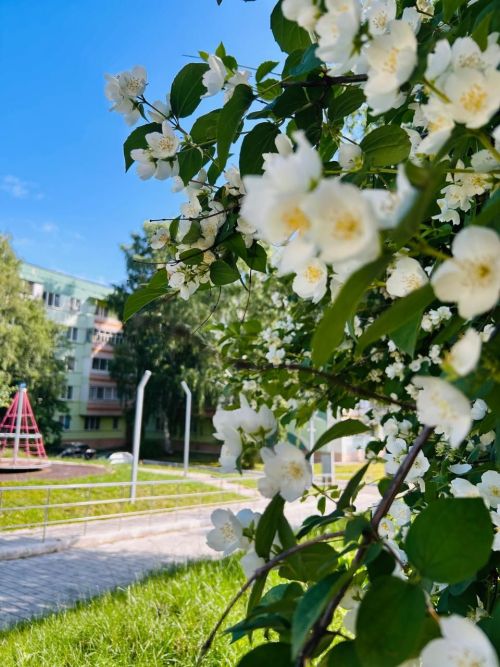 Погода в Татарстане: ожидается потепление и кратковременные осадки