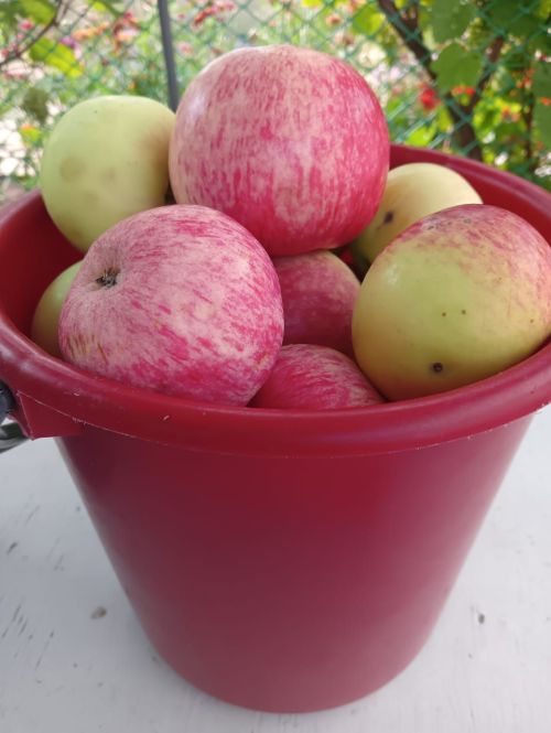 Дачники Камских Полян, поблагодарим летний сезон за хороший урожай