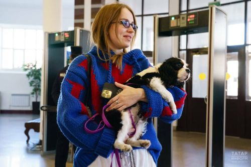 В Госдуму внесен законопроект об обязательной маркировке домашних животных