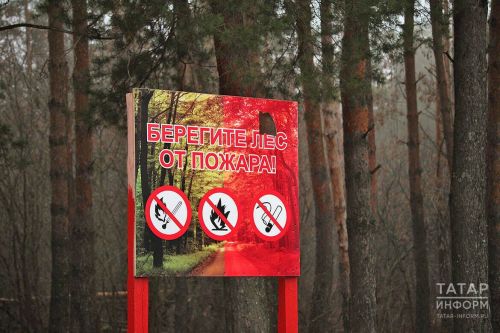 В Татарстане объявлено штормовое предупреждение из-за высокого риска лесных пожаров