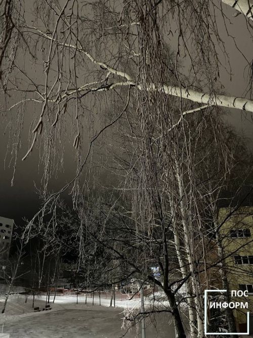 Народные приметы на 13 января 2026: Васильева коляда, запреты и гадания на Старый Новый год