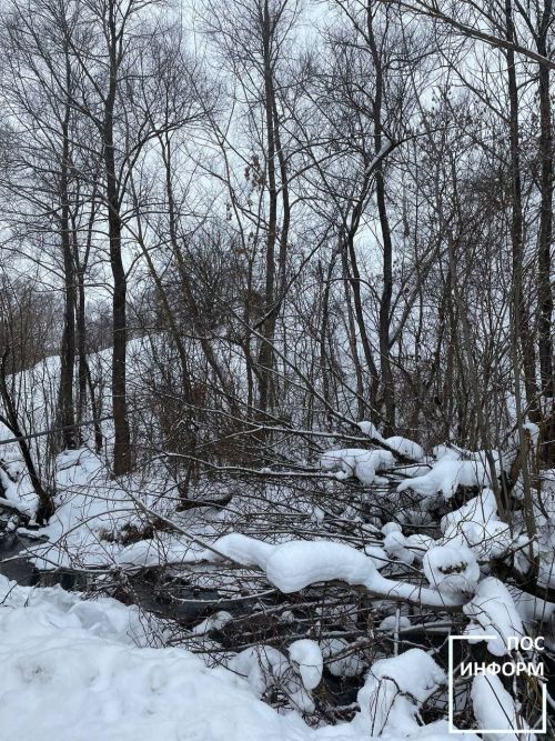 В Крещение Господне в Камских Полянах организована купель