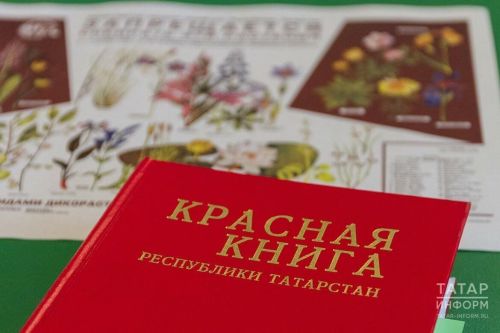 В Татарстане переиздана первая Красная книга на двух языках