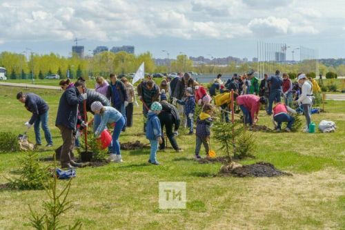 В Татарстане готовятся к проведению Международной акции «Сад памяти».