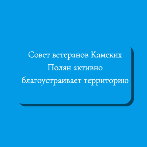 Совет ветеранов Камских Полян активно благоустраивает территорию
