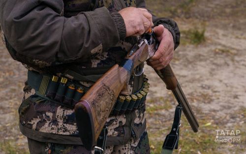 Госкомитет РТ по биоресурсам сообщил о популярных видах охоты в Татарстане