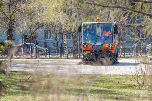 Аллергики готовятся к раннему цветению березы: советы врачей