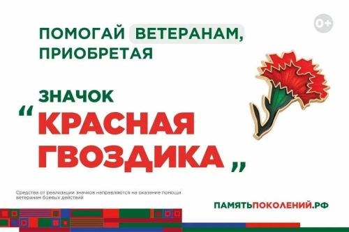 В Татарстане стартовала акция «Красная гвоздика», направленная на сбор средств для помощи ветеранам