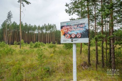 МЧС Татарстана объявило о штрафах за несоблюдение особого противопожарного режима