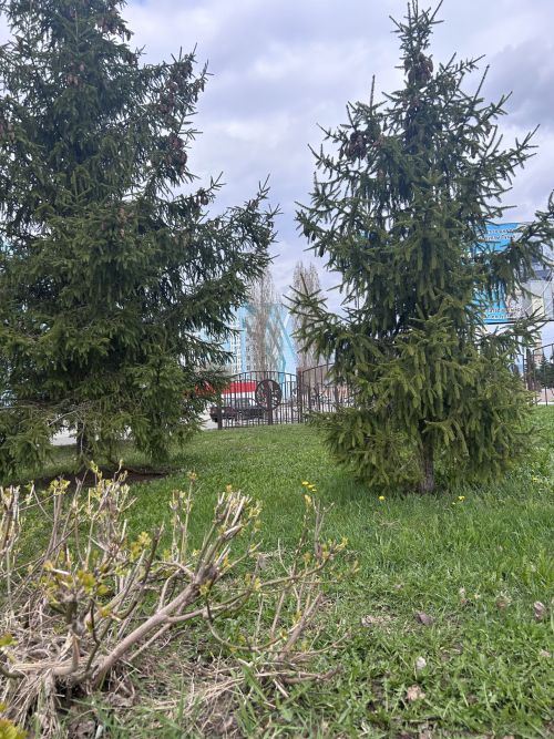Метеорологи сообщили, когда можно ожидать потепления и приступать к посадке картофеля
