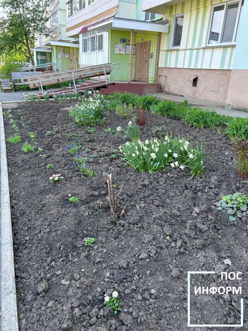 Камские Поляны расцветают: жители превращают дворы в цветущие оазисы