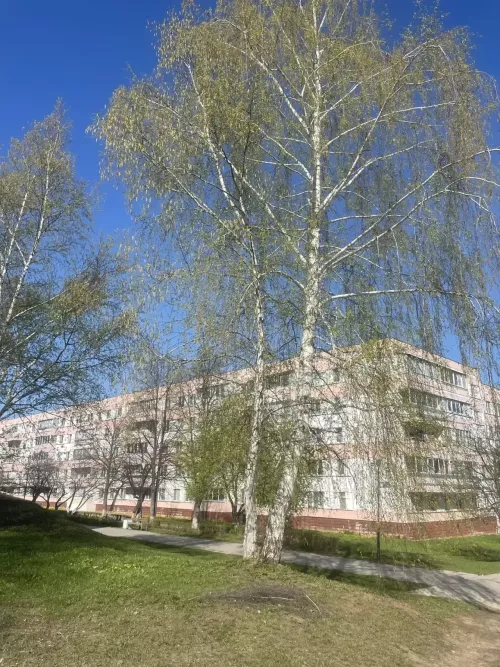 В Татарстане к середине недели ожидается до +26 градусов