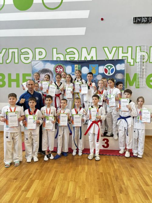 В Камских Полянах прошло Первенство НМР РТ по тхэквондо памяти И. Р. Ягафарова