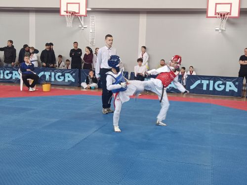 В Камских Полянах прошло Первенство НМР РТ по тхэквондо памяти И. Р. Ягафарова