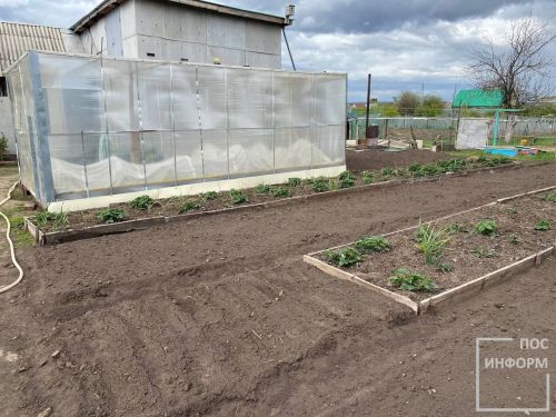 Работы в саду и огороде в мае: советы агронома по защите растений от заморозков и вредителей