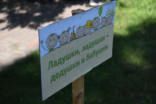 Как прошел фестиваль «Библиотека без границ» в Камских Полянах: фото