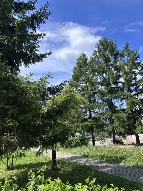 Камские Поляны: Уютный край на берегу  реки, фоторепортаж