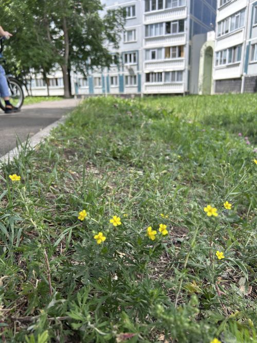 Камские Поляны: Уютный край на берегу  реки, фоторепортаж