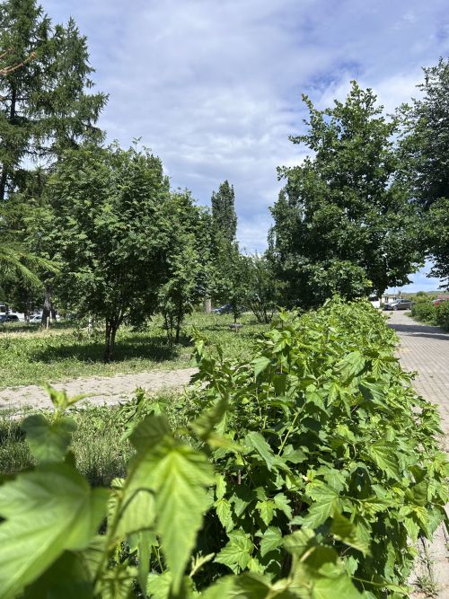 Камские Поляны: Уютный край на берегу  реки, фоторепортаж