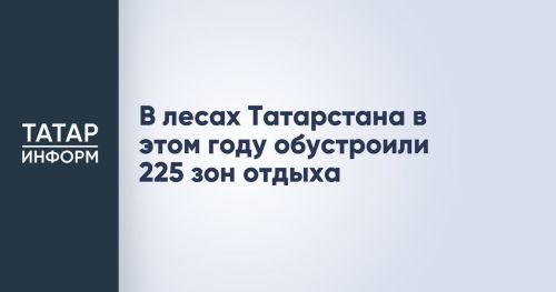 В лесах Татарстана в этом году обустроили 225 зон отдыха