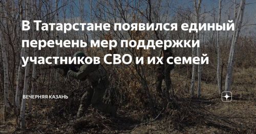 В Татарстане расширили перечень муниципальных мер поддержки участников СВО