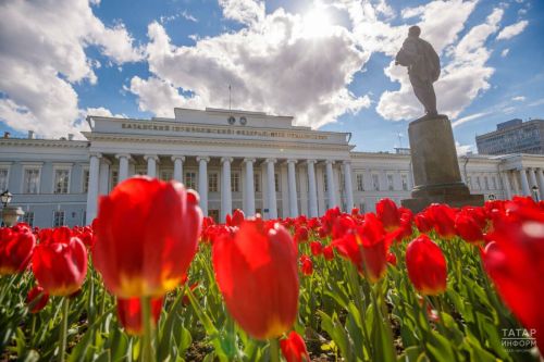 Заявления на бюджетные места в вузы принимаются до 25 июля