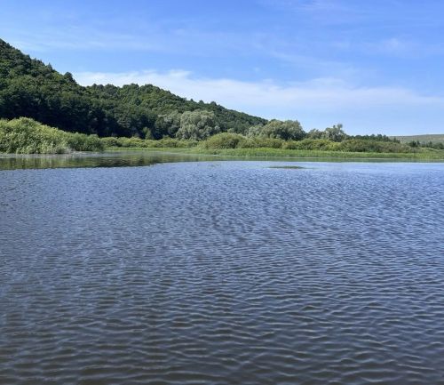 За неделю в Татарстане произошло 56 пожаров и 8 трагедий на воде