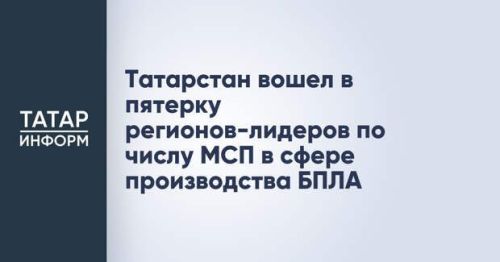 Татарстан вошел в число лидеров рейтинга дронификации России