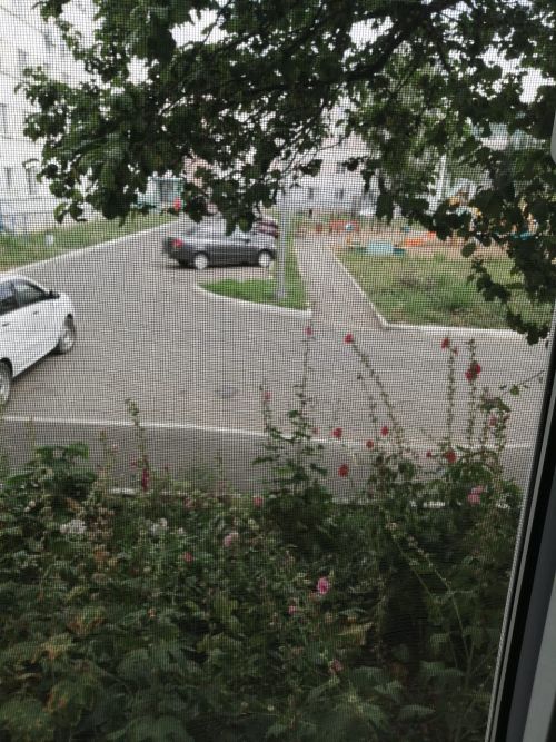 Проверяем ваш автомобиль на чистоту выхлопных газов