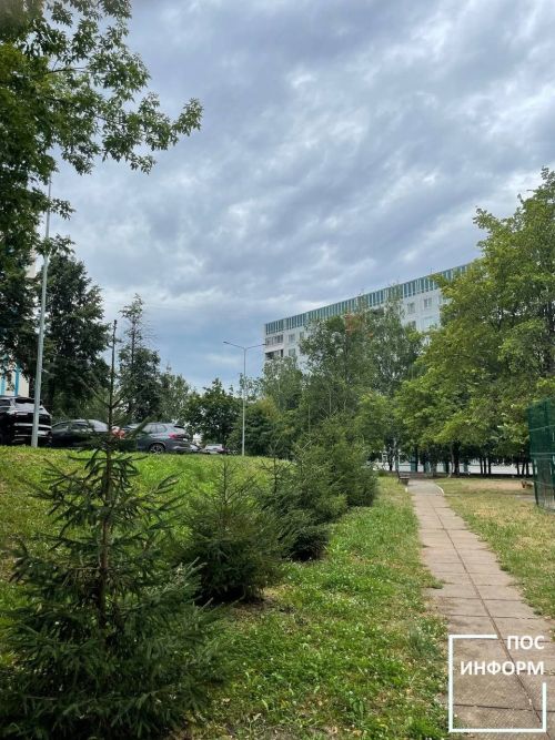 Дожди с грозами и потепление до +20 градусов ожидаются в Татарстане