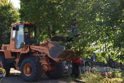 Жители Камских Полян привели кладбище в порядок